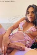 Foto Hot Incontro Transescort Alba Adriatica Roberta Maliziosa - 1