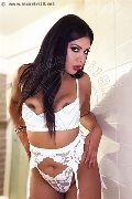 Foto Incontro Trans Civitanova Marche Melly Ferraz - 7
