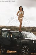 Foto Incontro Trans Modena Vanessa Hilton - 110
