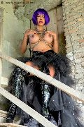 Foto Incontro Transescort Bergamo Erotika Flavy Star - 84