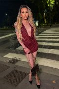 Foto Incontro Transescort Milano Duda Castro - 10