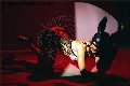 Foto Incontro Transescort Modena Vanessa Hilton - 129
