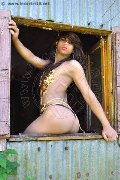 Foto Incontro Trav Bologna Morena Boathy - 18