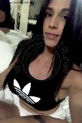 Gallarate Trans Alessandre Xxii 331 78 52 006 foto selfie 8