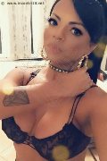 Milano Trans Milena Miranda 388 63 10 811 foto selfie 60