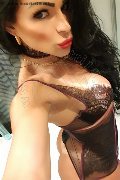 Ginevra Trans Escort Thalya Cyclone 371 39 93 846 foto selfie 29