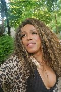 Milano Trans Escort Paolina Mulatta 333 29 10 933 foto selfie 3