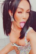  Trans Escort Mulan Asiatica 347 60 31 342 foto selfie 3