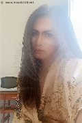 Pordenone Trans Escort Biancaladyboy 393 22 33 064 foto selfie 9