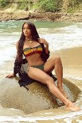 Foto Incontro Trans Novara Mirella Brasiliana - 4